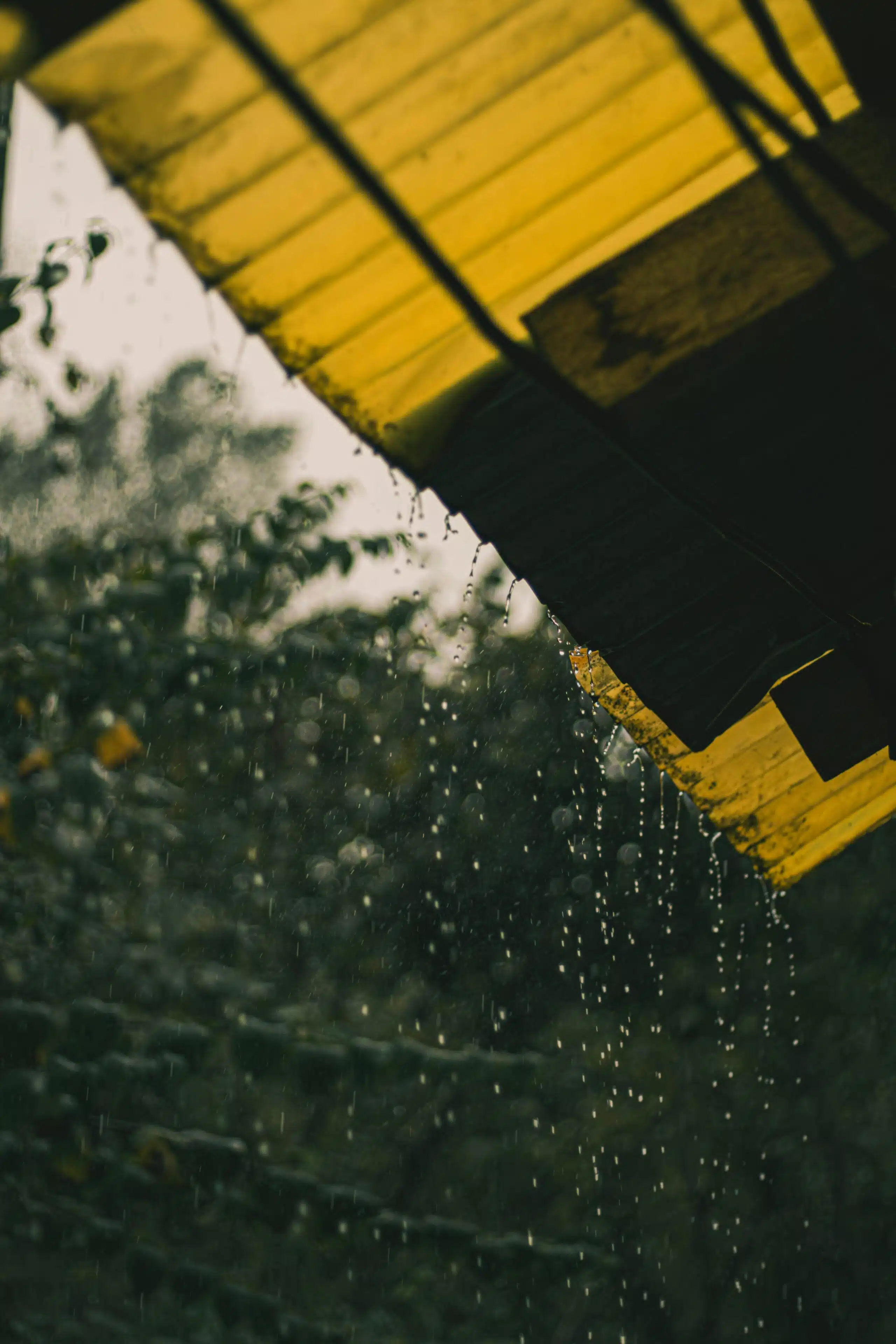 pexels-malkocoglu-raw-634836989-18782936